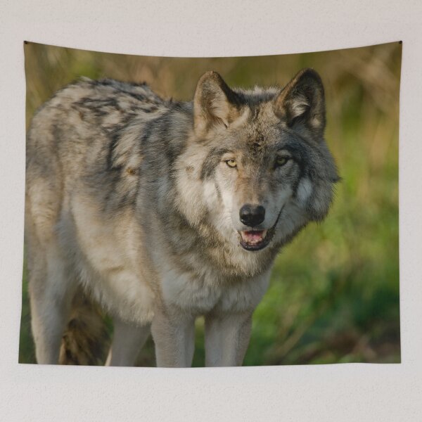 Item preview, Timber Wolf designed and sold by Michael Cummings.