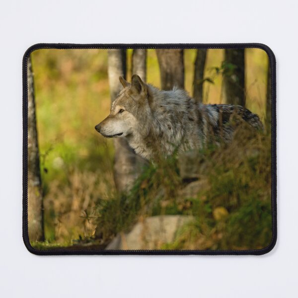 Item preview, Timber Wolf designed and sold by Michael Cummings.