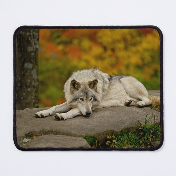 Item preview, Timber Wolf designed and sold by Michael Cummings.