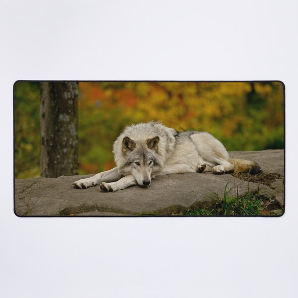 Item preview, Timber Wolf designed and sold by Michael Cummings.