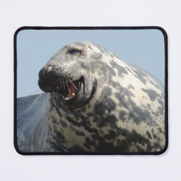 Item preview, Laughing seal designed and sold by KaisPrints.