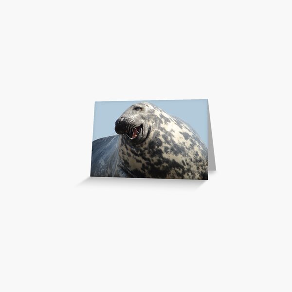 Item preview, Laughing seal designed and sold by KaisPrints.