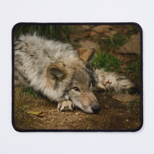 Item preview, Timber Wolf Pup designed and sold by Michael Cummings.
