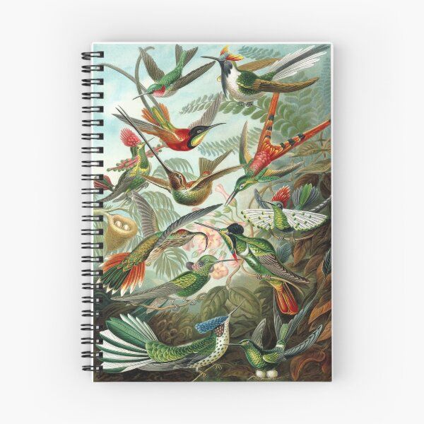 Item preview, 1899 Hummingbird Species Art Forms of Nature Print designed and sold by retrographics.