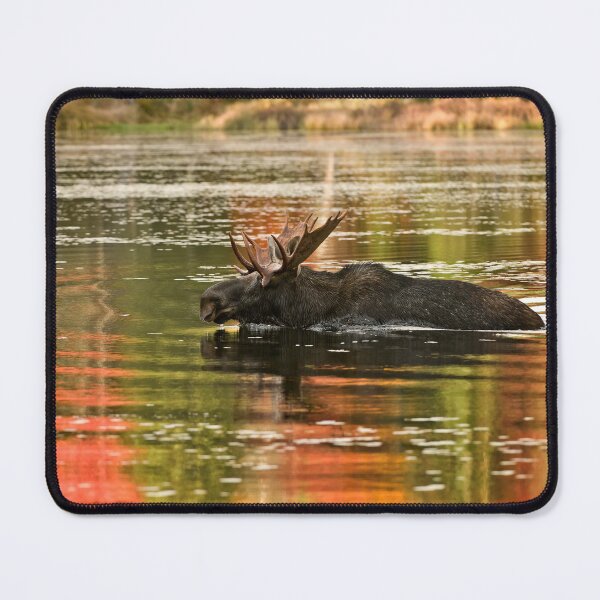 Item preview, Bull Moose Crossing Creek designed and sold by Michael Cummings.