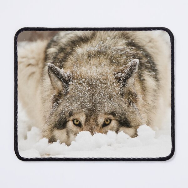 Item preview, Whose The Pretty Puppy? designed and sold by Michael Cummings.