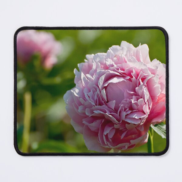 Item preview, Peony designed and sold by Michael Cummings.