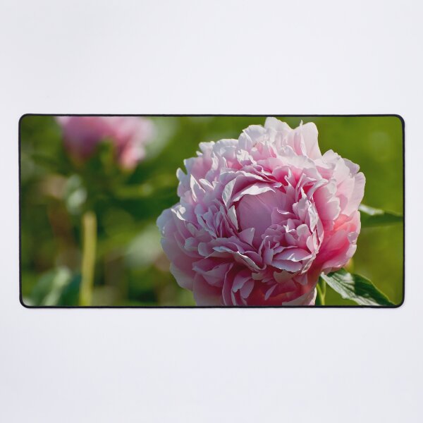 Item preview, Peony designed and sold by Michael Cummings.