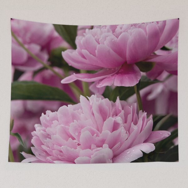 Item preview, Peony designed and sold by Michael Cummings.