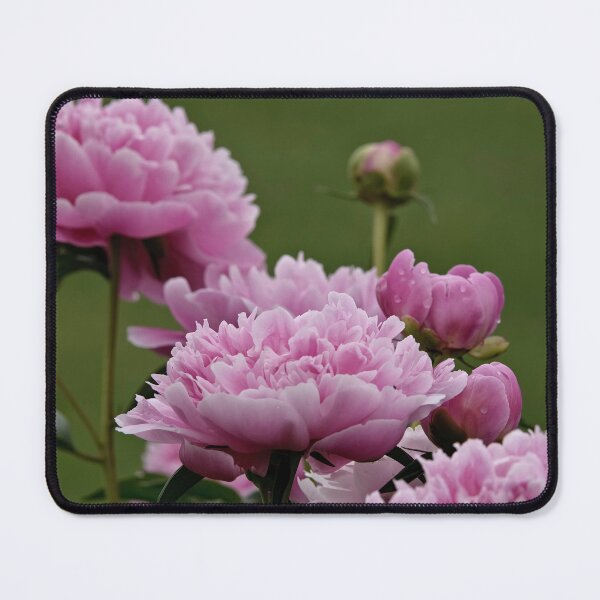 Item preview, Peony designed and sold by Michael Cummings.