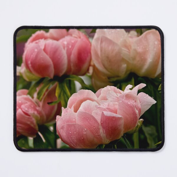 Item preview, Peony designed and sold by Michael Cummings.