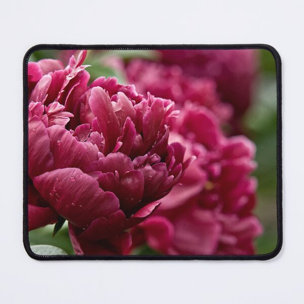 Item preview, Peony designed and sold by Michael Cummings.