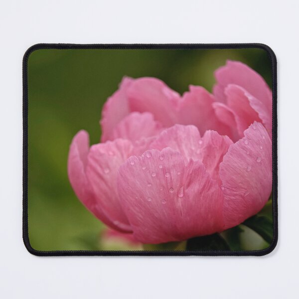 Item preview, Peony designed and sold by Michael Cummings.