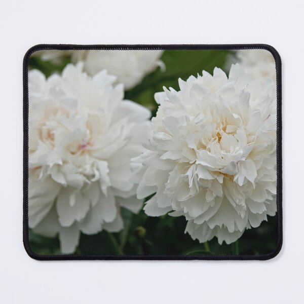 Item preview, Peony designed and sold by Michael Cummings.