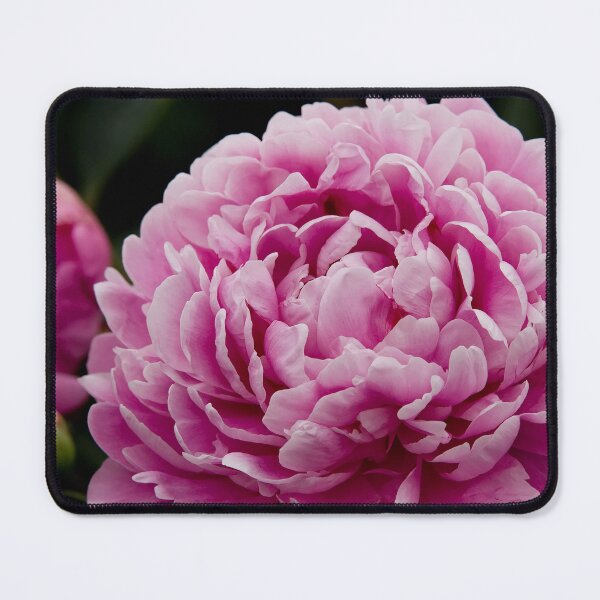 Item preview, Peony designed and sold by Michael Cummings.