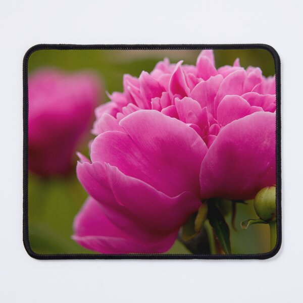 Item preview, Peony designed and sold by Michael Cummings.