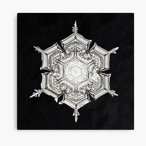 Wilson Bentley's Snowflake Canvas Print