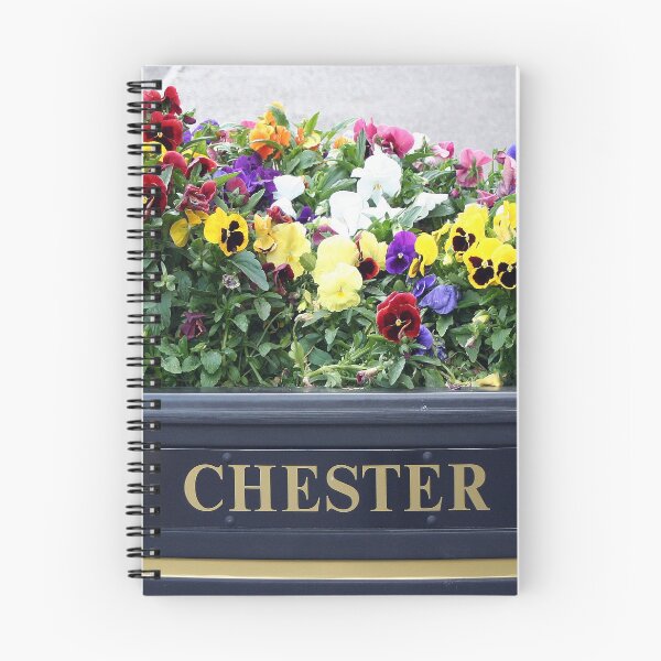 Item preview, Chester, England, flower box designed and sold by FranWest.