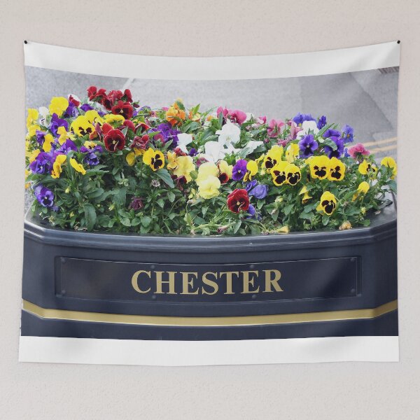 Item preview, Chester, England, flower box designed and sold by FranWest.