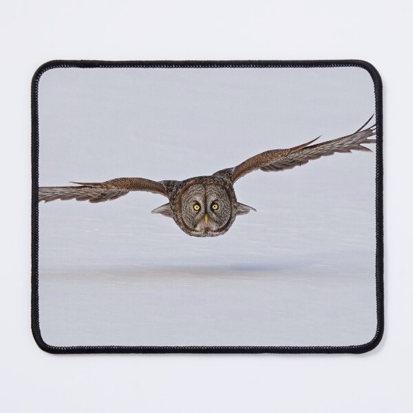Item preview, Great Gray Owl in Flight - Ottawa, Ontario designed and sold by Michael Cummings.