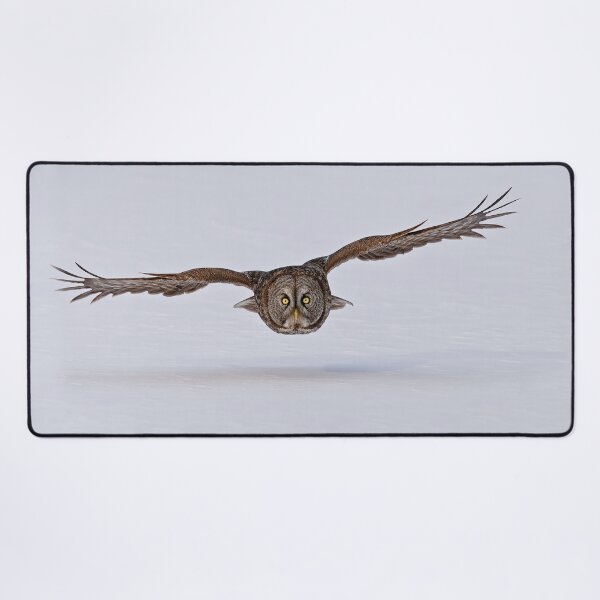 Item preview, Great Gray Owl in Flight - Ottawa, Ontario designed and sold by Michael Cummings.