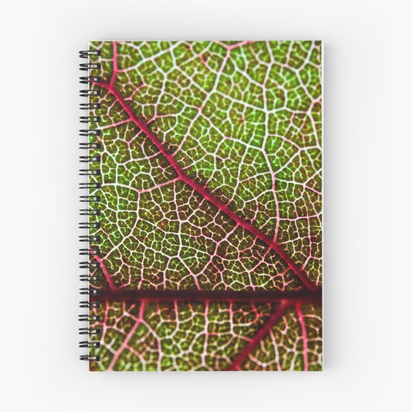 Item preview, Leaf designed and sold by troianifabrizio.