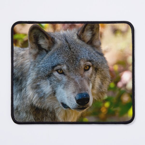 Item preview, Timber Wolf designed and sold by Michael Cummings.