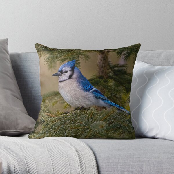 Toronto Blue Jays Team Mascot Pillow