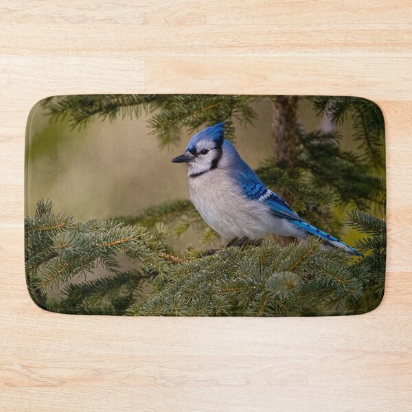 Item preview, Blue Jay - Algonquin Park, Ontario designed and sold by Michael Cummings.