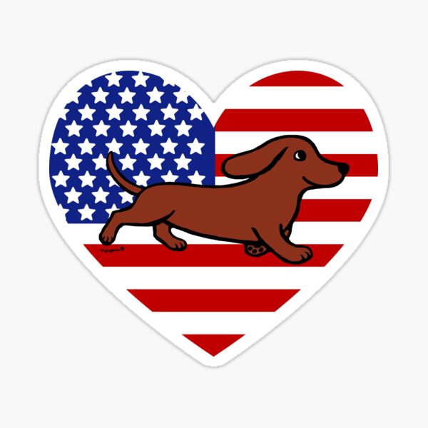 dachshund fourth of july shirt