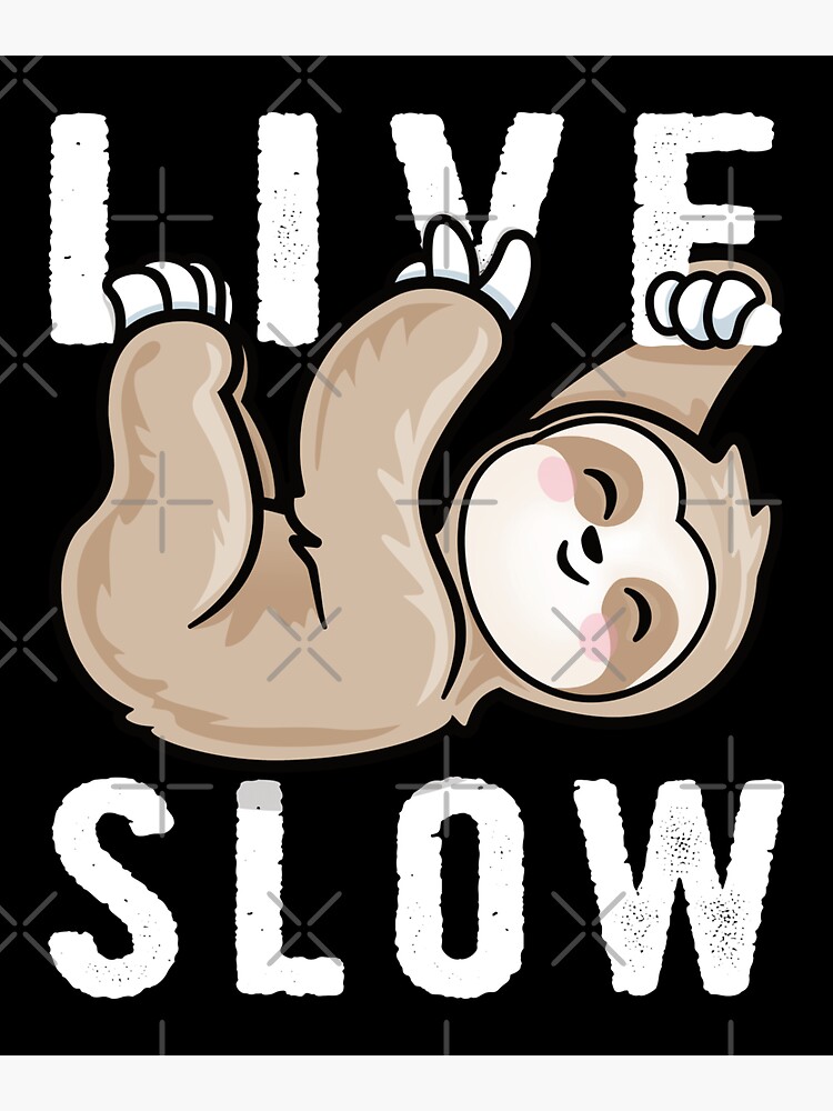 Sloth am I slow Sticker for Sale by ironydesigns