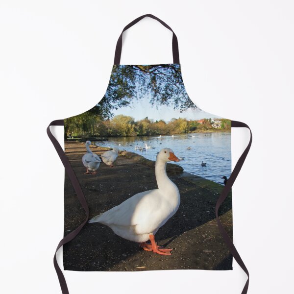 Item preview, Geese at Linlithgow Loch designed and sold by tomg.