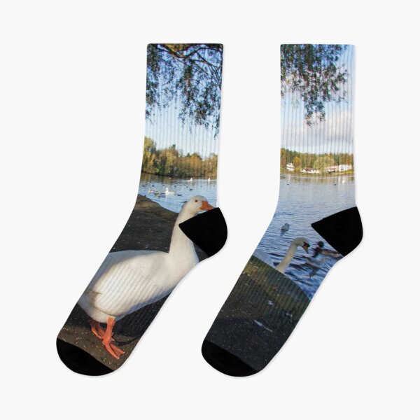 Item preview, Geese at Linlithgow Loch designed and sold by tomg.