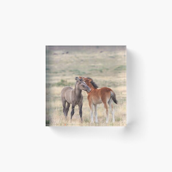 Item preview, Making Friends designed and sold by Owed To Nature.