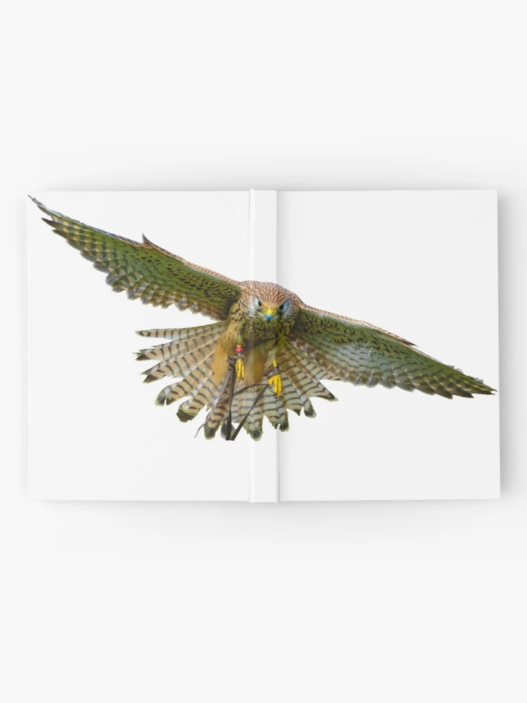 Thumbnail 2 of 3, Journal, Wind hover designed and sold by Dalyndigital Photography.