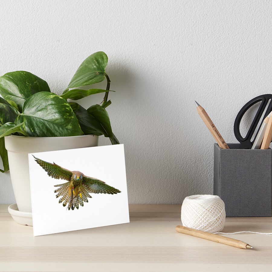 Item preview, Art Board Print designed and sold by Dalyn.