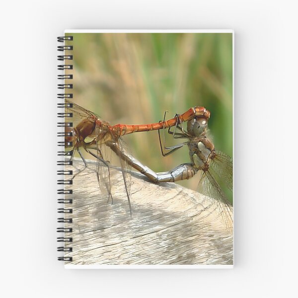Item preview, mating Dragonflies designed and sold by chrisshalom.