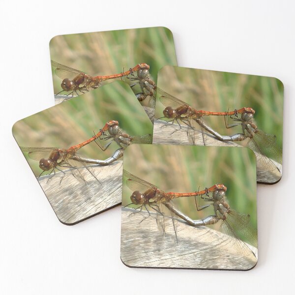 Item preview, mating Dragonflies designed and sold by chrisshalom.