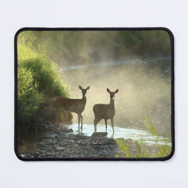 Item preview, Whitetail deer at sunrise designed and sold by Jim Sauchyn.