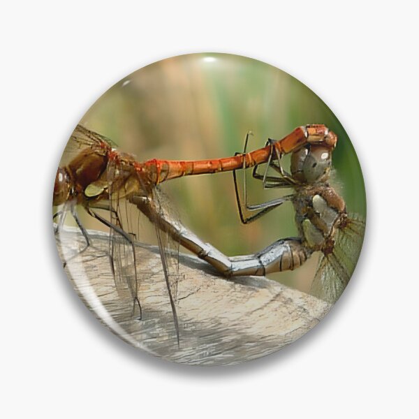 Item preview, mating Dragonflies designed and sold by chrisshalom.
