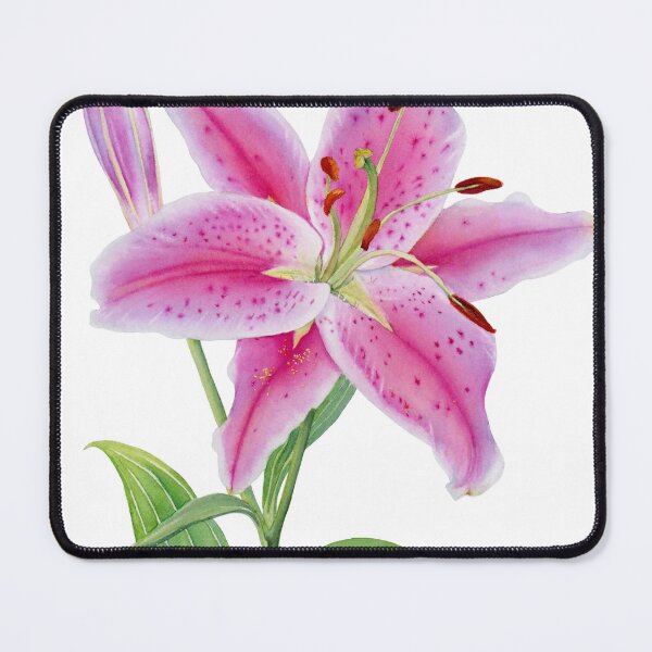 Item preview, Stargazer lily Watercolor designed and sold by jojowatercolors.