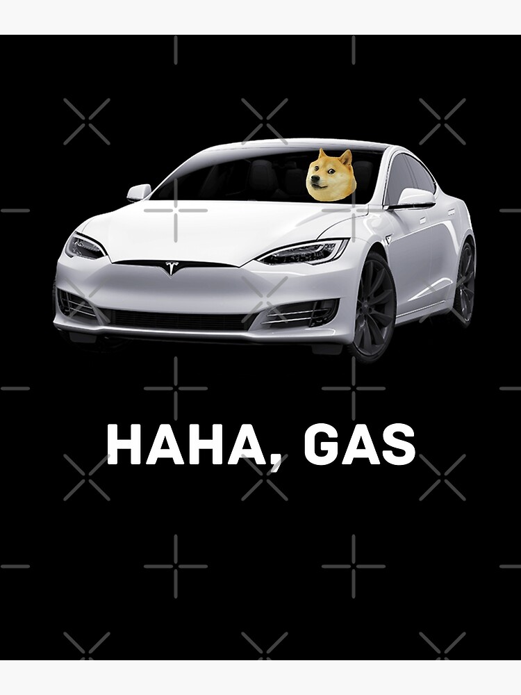Engraçado Capivara Doge E Elon Meme Mania Posters Canvas