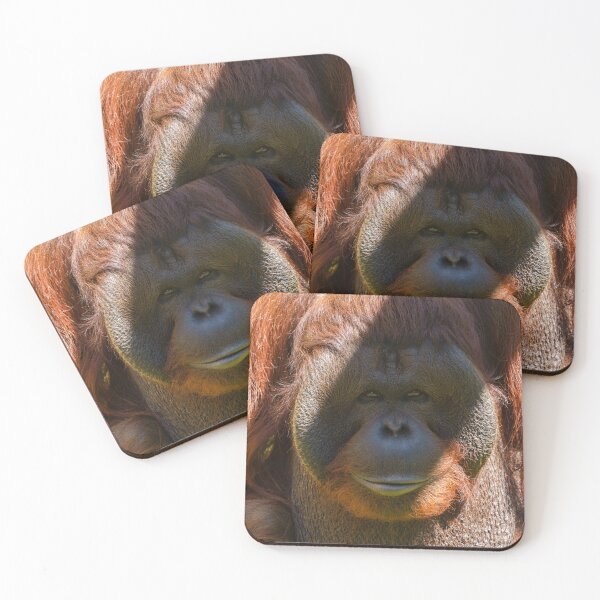 Item preview, Flanged male orangutan close-up designed and sold by rawshutterbug.