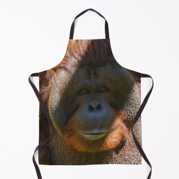 Item preview, Flanged male orangutan close-up designed and sold by rawshutterbug.