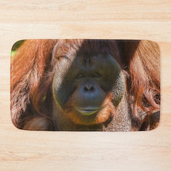 Item preview, Flanged male orangutan close-up designed and sold by rawshutterbug.