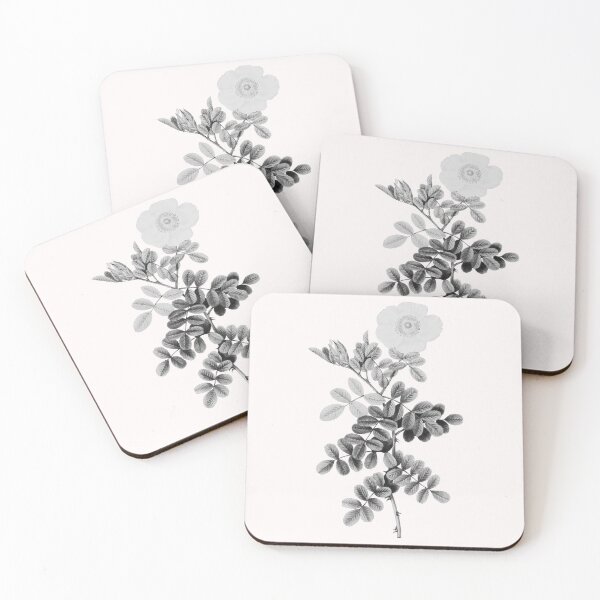 Item preview, Macartney Rose Flower, Alternative Illustration - Grey and White Rose designed and sold by DaphneKstudio .