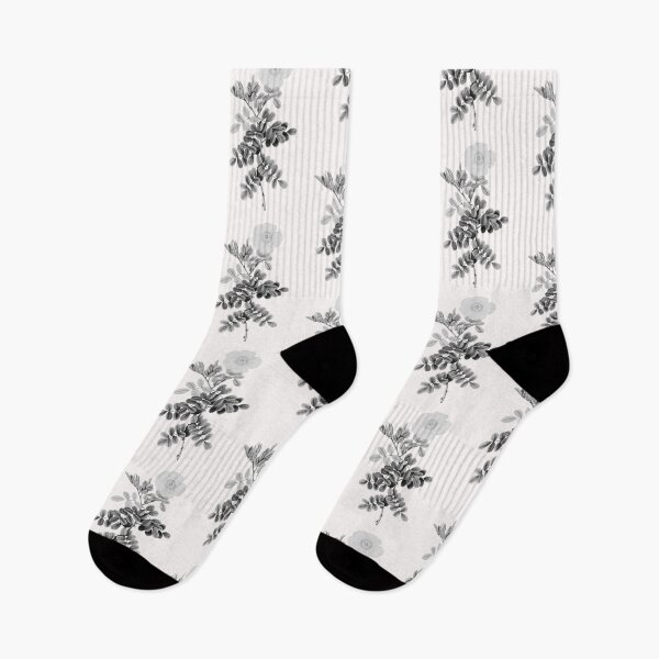 Item preview, Macartney Rose Flower, Alternative Illustration - Grey and White Rose designed and sold by DaphneKstudio .