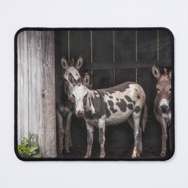 Item preview, cuadrilla del cobertizo designed and sold by Jim Love.