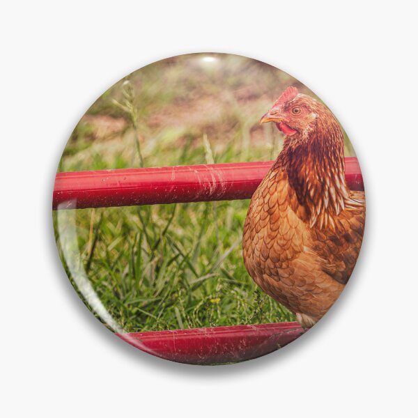Item preview, Barnyard Strut designed and sold by Jim Love.