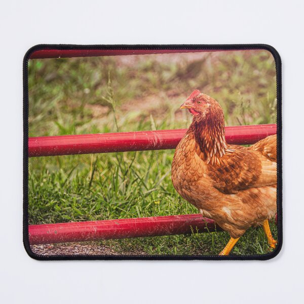 Item preview, Barnyard Strut designed and sold by Jim Love.